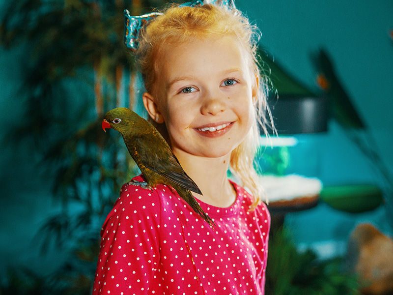 Stingray + Lorikeet Feedings
