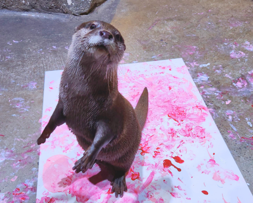 Otters Paint One of a Kind VDay Cards & Paintings