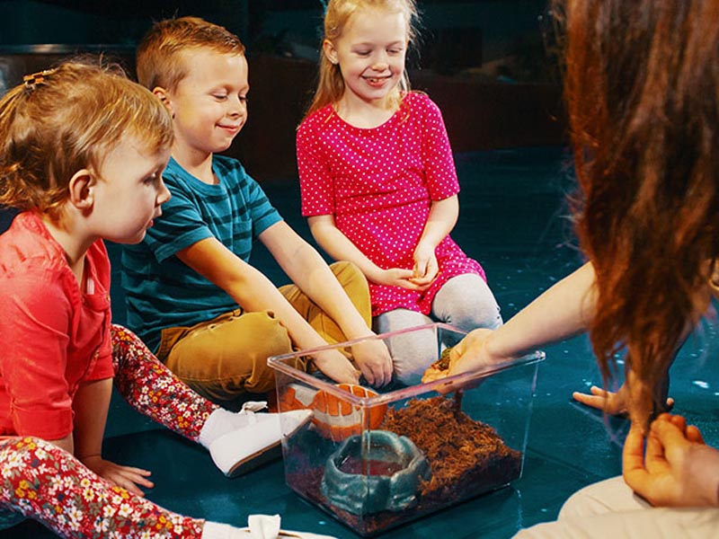 Children looking at animal presented by education ambassador