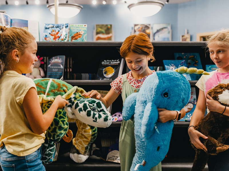 Gift Shop Get Souvenirs Living Shores Aquarium