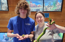 Education Ambassadors with Reptiles