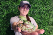 Animal Care Professional holding Frog