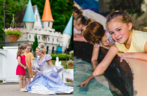 Ticket Sized Images - 25